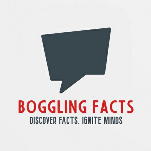Boggling Facts logo